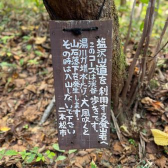 …だそうです
