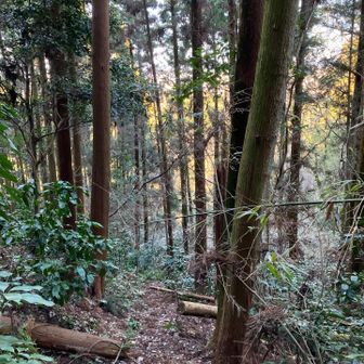 こっちの道はあまり良くない🤨