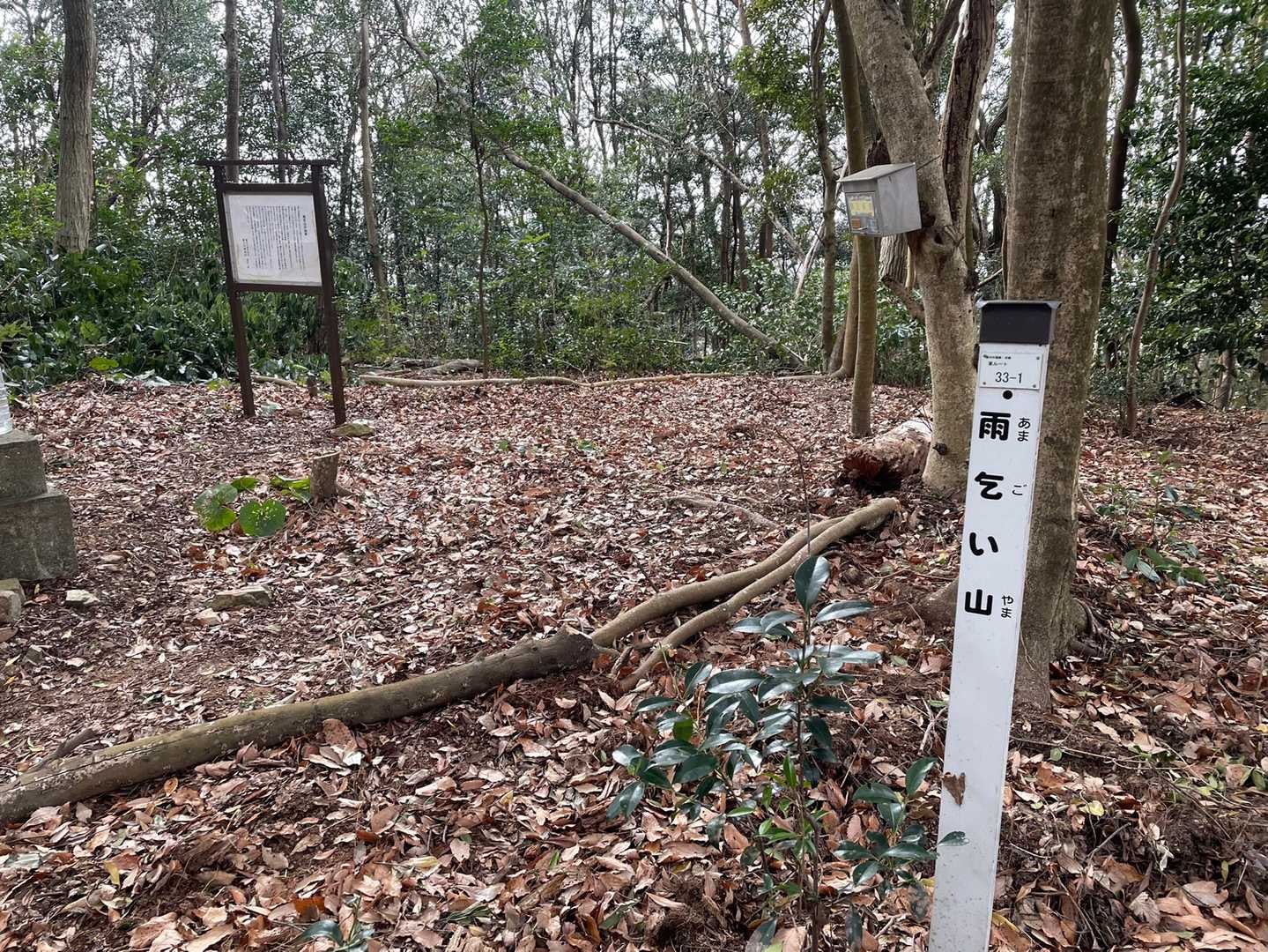 眺望は無いけど開けてます🎶
地元の自治会に大切に守られてる感✨を感じる山ですね👏