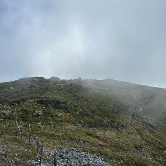 山頂に近付くとガスめいてきた