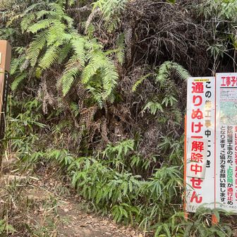 住宅地を抜けると登山口