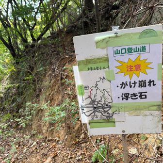 山口登山道を下ります