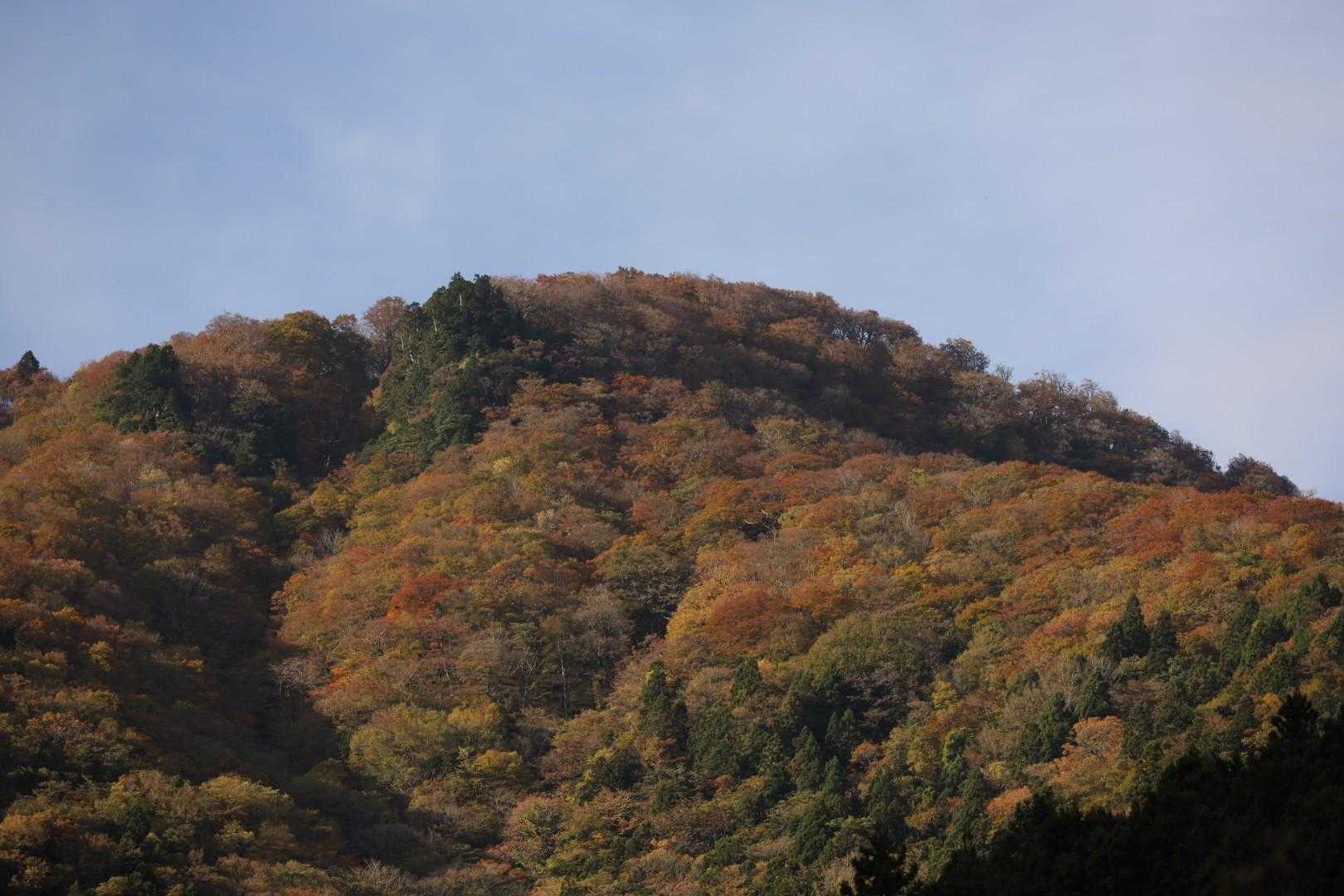 木屋谷雨量観測所-桧塚奥峰登山口-桧塚-桧塚奥峰-明神岳 往復コースの写真