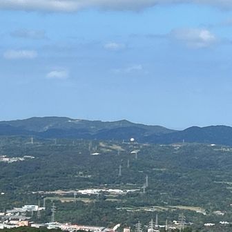 ジャングリアのバルーンが見えます👀（写真中央ちょい右）