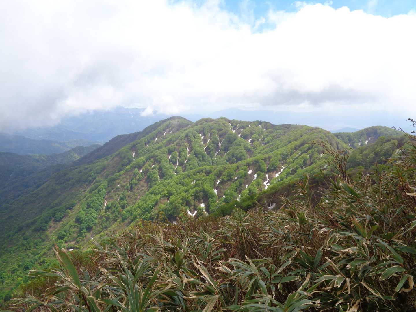 鈴ヶ岳登山口-鈴ヶ岳-大日山 往復コースの写真
