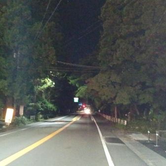 日光杉並木