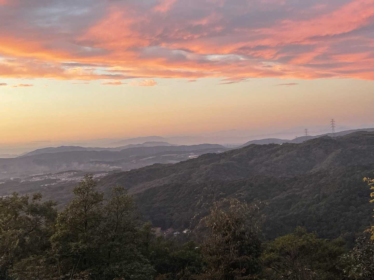 猿投山 往復コースの写真