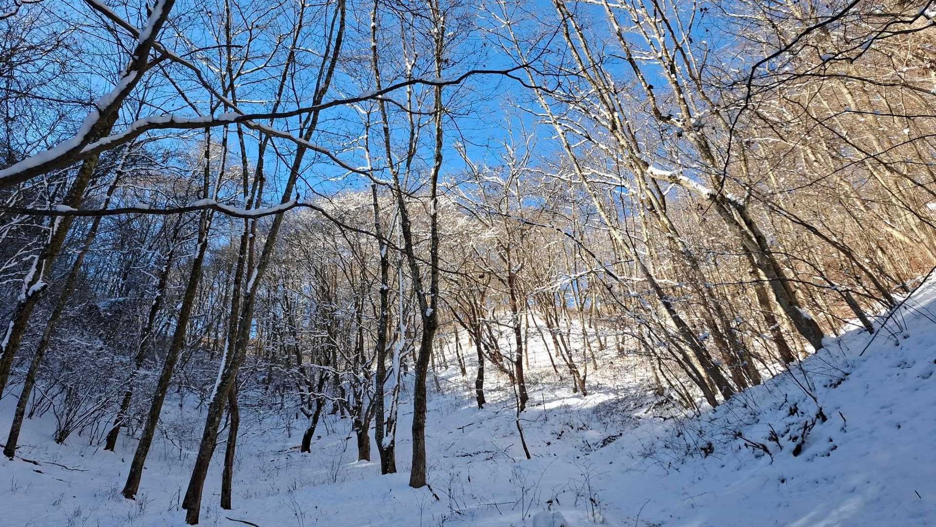 なんちゃって雪山登山～😁