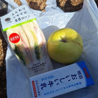 今朝はこの組み合わせで、朝御飯。