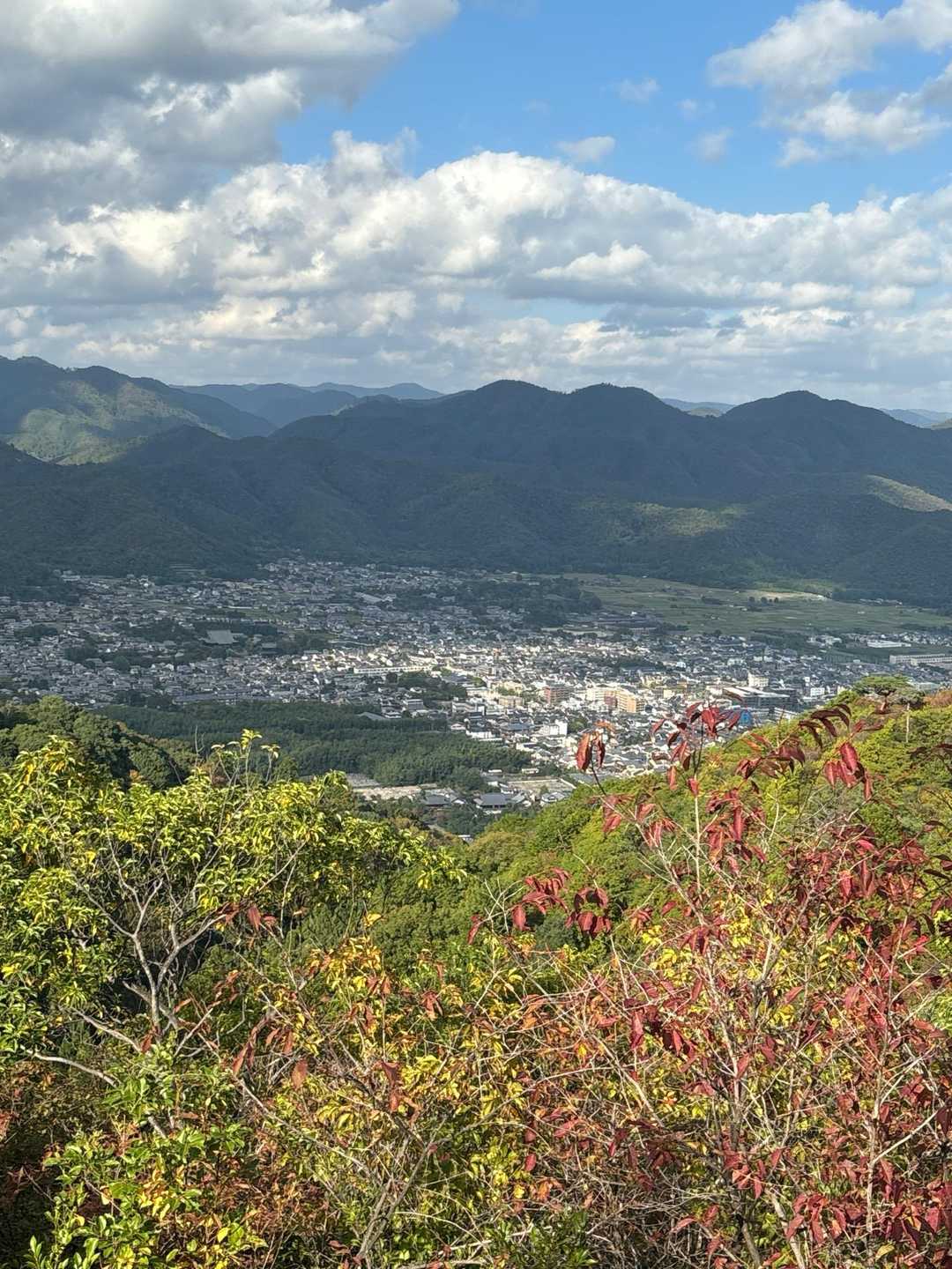 此処では素晴らしい景色が見えます