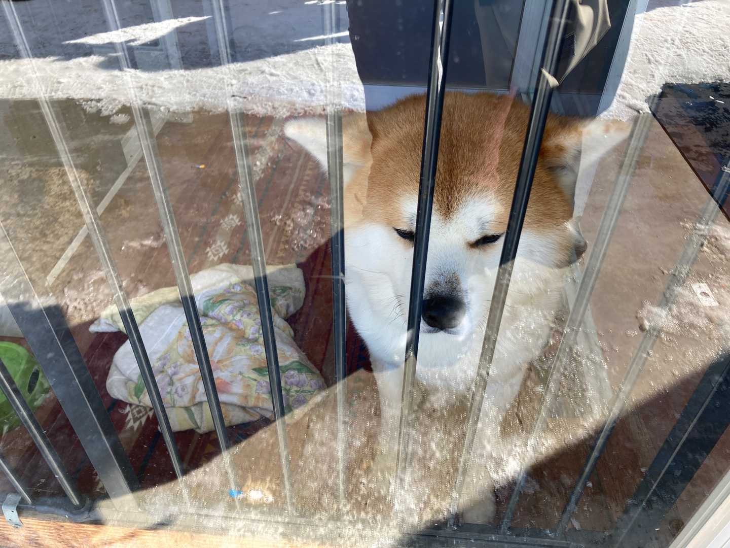 北斗起きてるね😊