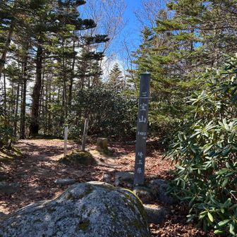 三宝山 山頂
標高2483m
三角点タッチしました🔺

YAMAPから埼玉県最高峰バッジをもらいました😊