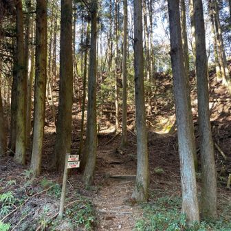 堀坂峠に到着😊
観音岳へ登り返します💦