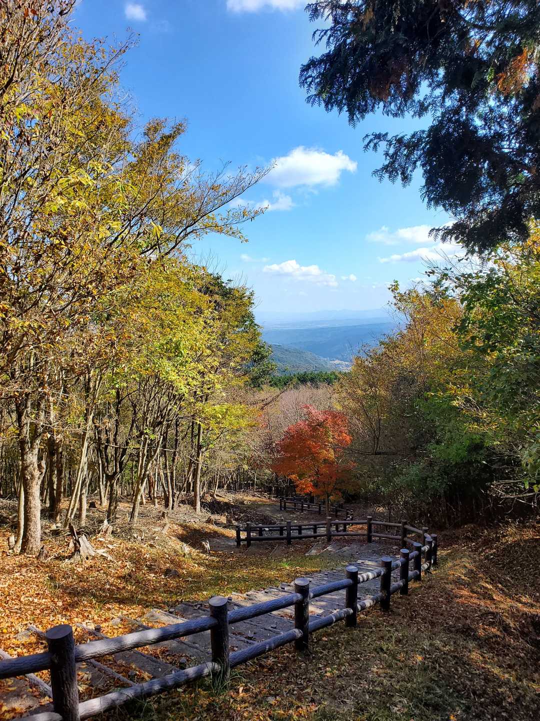最短ルートからの合流
山頂はもうすぐ❗