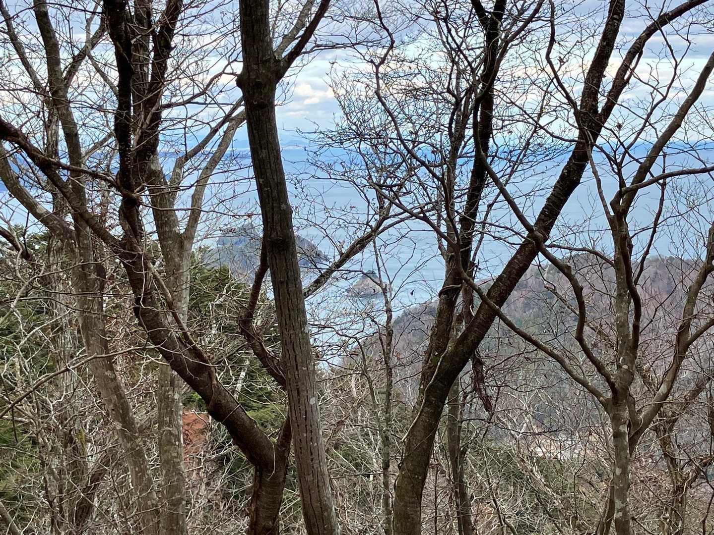 海