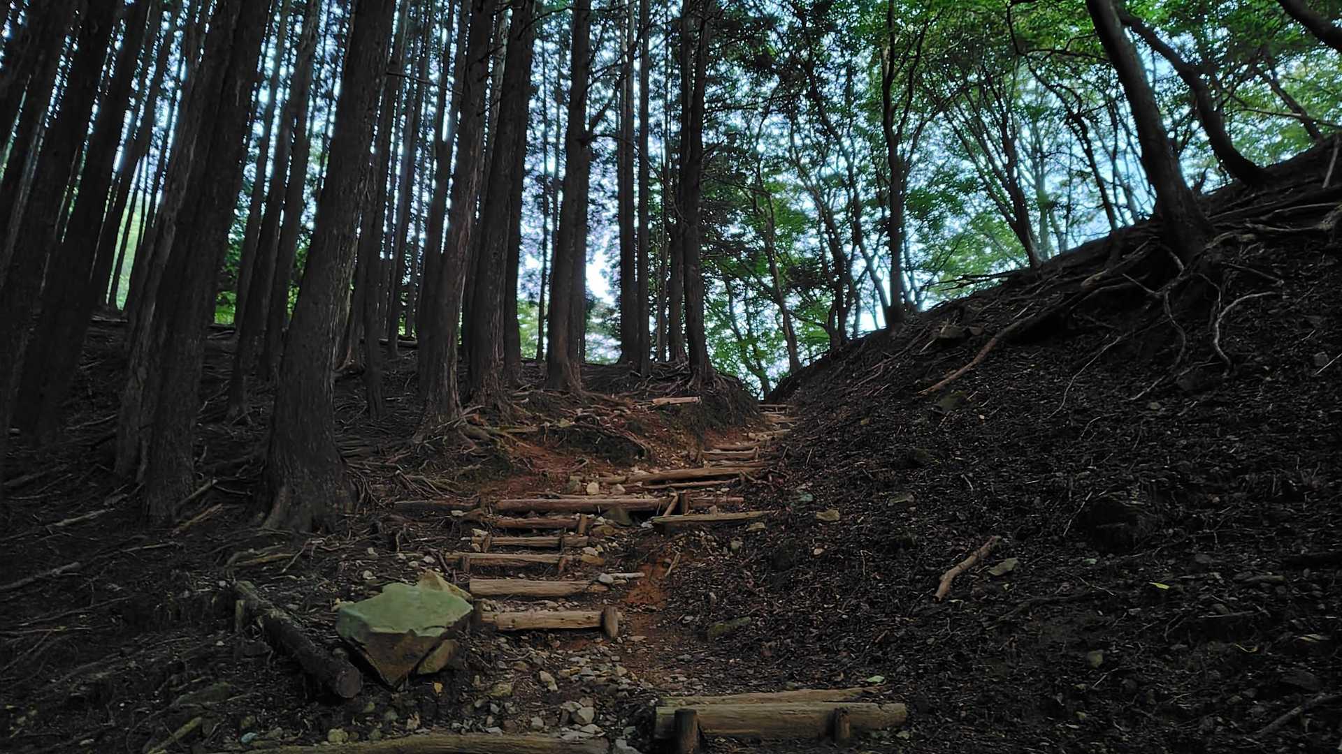 明星岳分岐