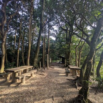 今日は人が少ないねー