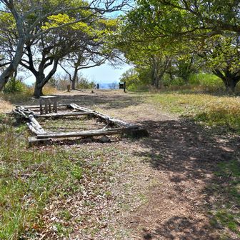 東山山頂全景
ここで昼食