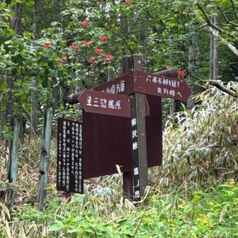 大菩薩嶺までも行けるんだったよなぁ。丸川峠

お疲れ様でした。バスに乗ってかえります。