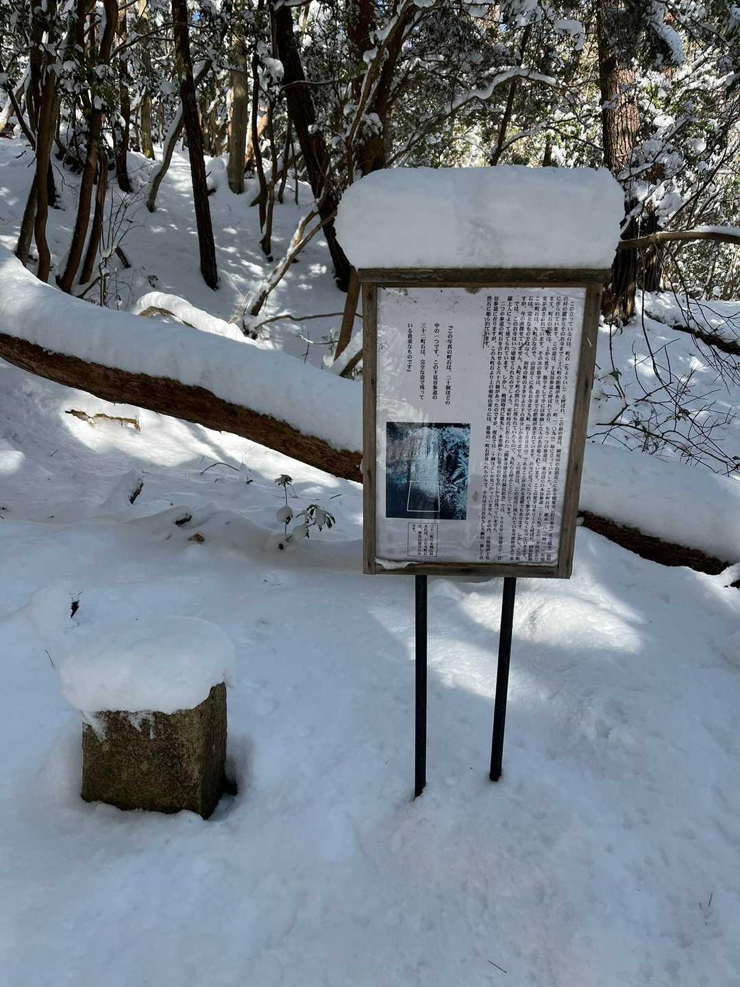 剣尾山 往復コースの写真