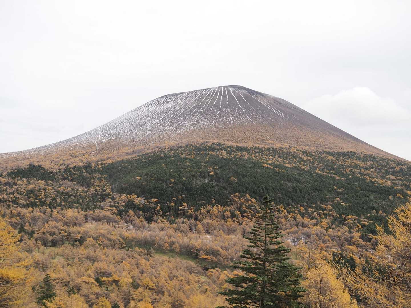 きたーー！！
Jバンドに戻ってれば、鋸岳からバーンと浅間山が見えたかもだけど…
この景色は、こっちを歩いていたからこそ！