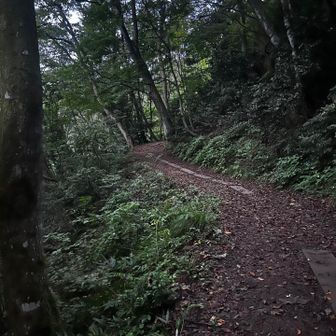 さくさく進みます。
