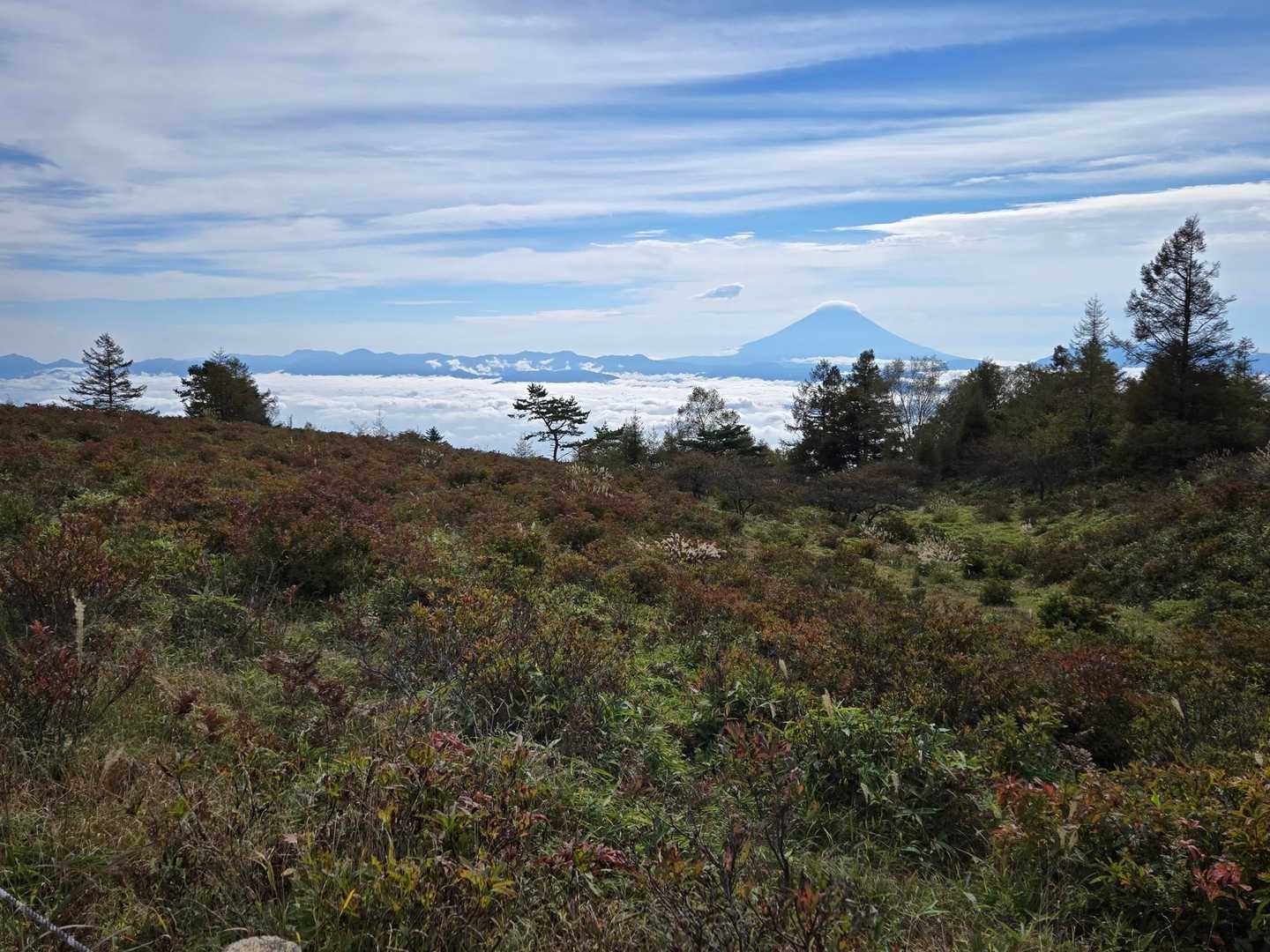 甘利山登山口-甘利山-大西峰 往復コースの写真