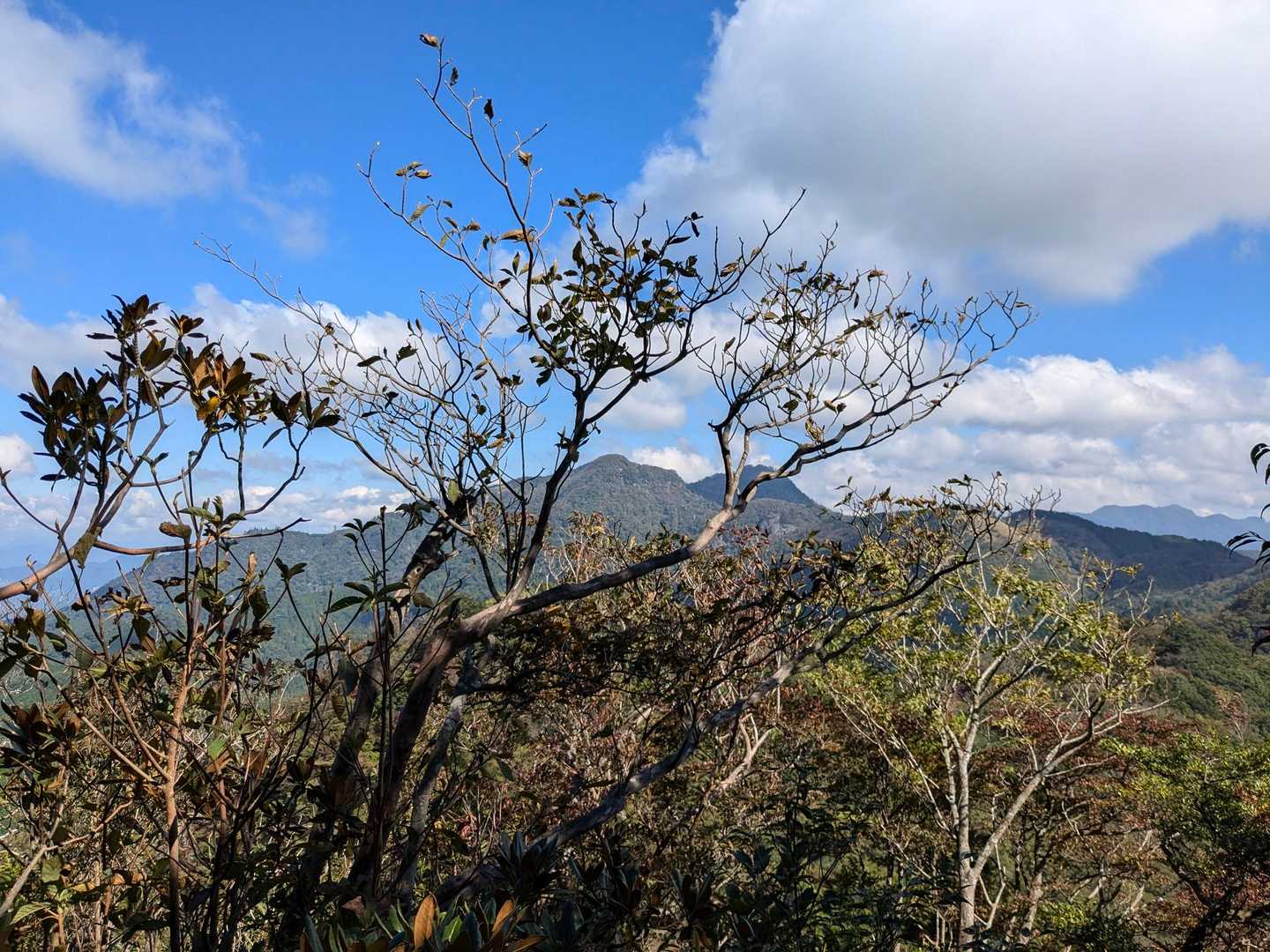 英彦山の雲はどこかへ🌬️