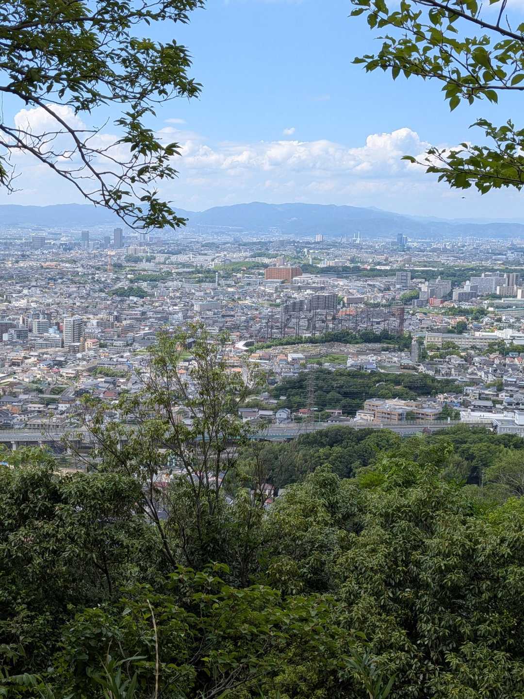 四條畷神社・飯盛山 往復コースの写真