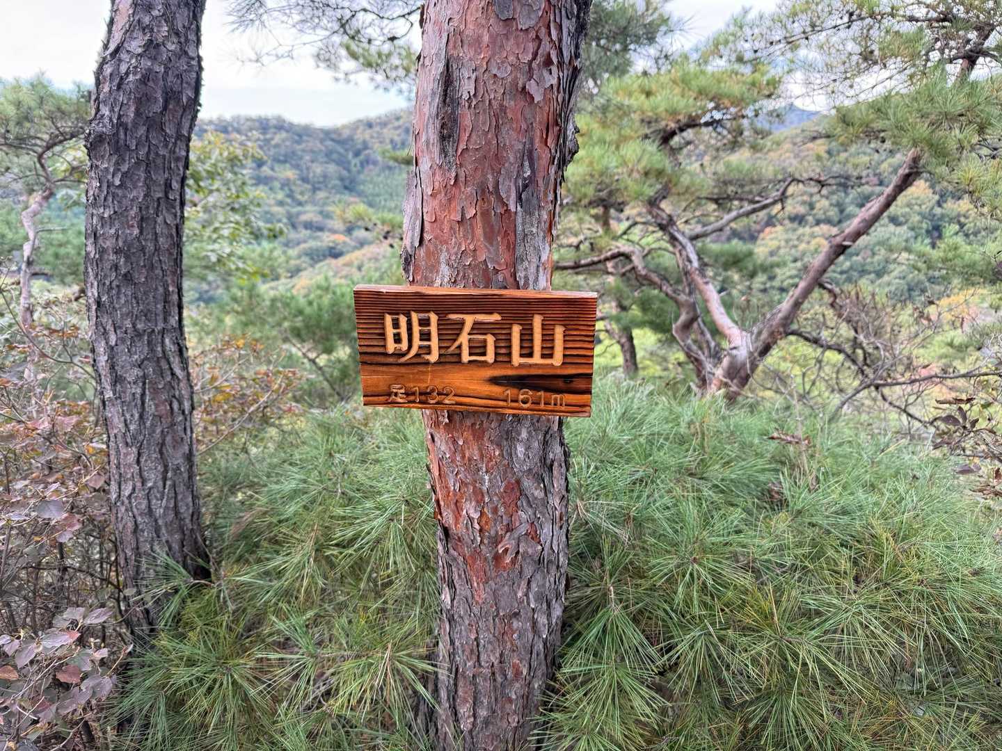 鏡山-両崖山 往復コースの写真