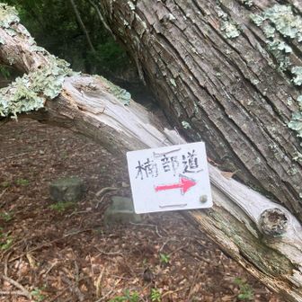 宇治岳道に合流しました♪