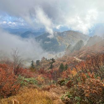 幻想的な雰囲気😶‍🌫️