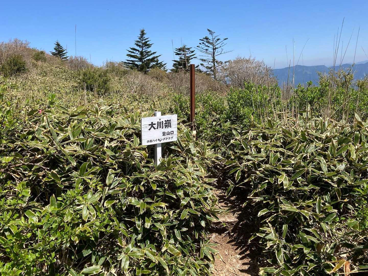 登山口から出発！