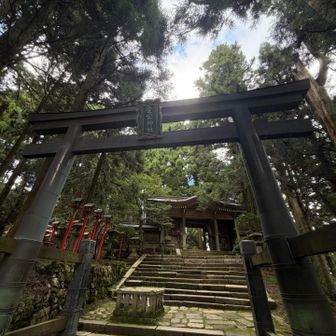 スマホカメラに悪戦苦闘