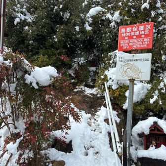 何とか転倒せずに下山。