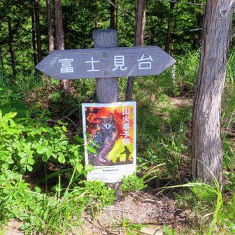 富士見台到着