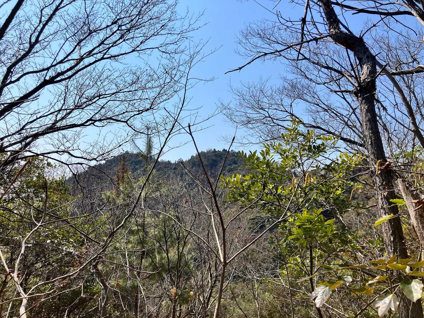 同じ道を戻ると多くのハイカーとすれ違う可能性があるのでぐるりと迂回
下高山が見えてます