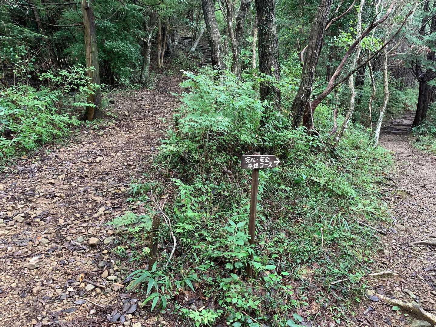 案内板もあるので安心😉
もちろんトレーニングのため左の急登コース😌