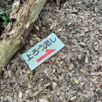稜線を引き返し、本堂山へ向かう稜線上の上﨟落としへ