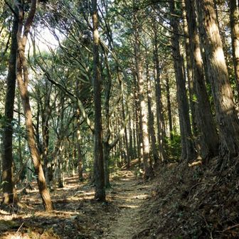 いくつもピークを越えて🍃