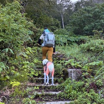 リフト乗り場と違う方へ。
いきなり登山道っぽい。
楽しみ〜(ワクワク天国)