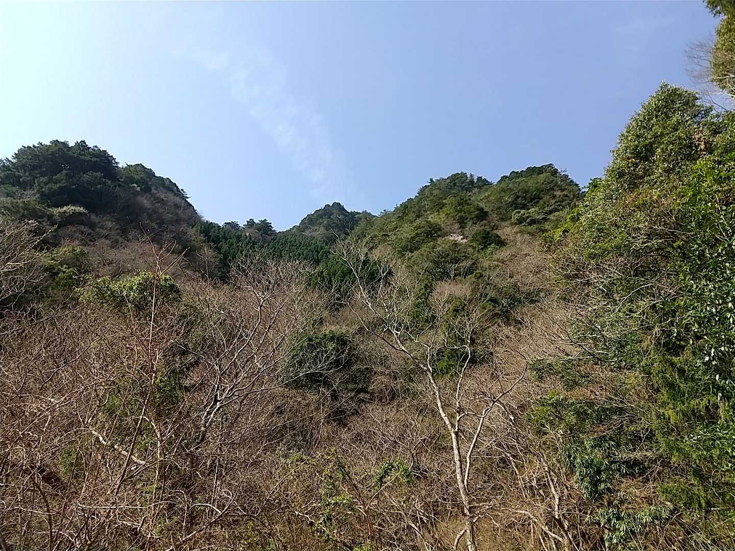 山が急です。