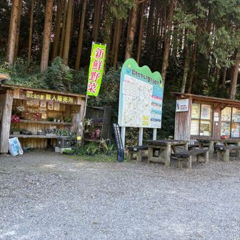 靴を履き替えて直ぐにスタート