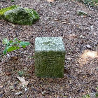 仏頂山の三角点