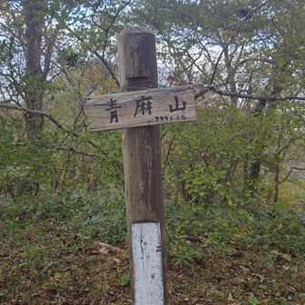 30分で、青麻山の山頂へ