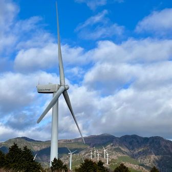 あっちにもいっぱいあるんだ〜😃
この景色が見たかったんですよ〜♪
感激🤩