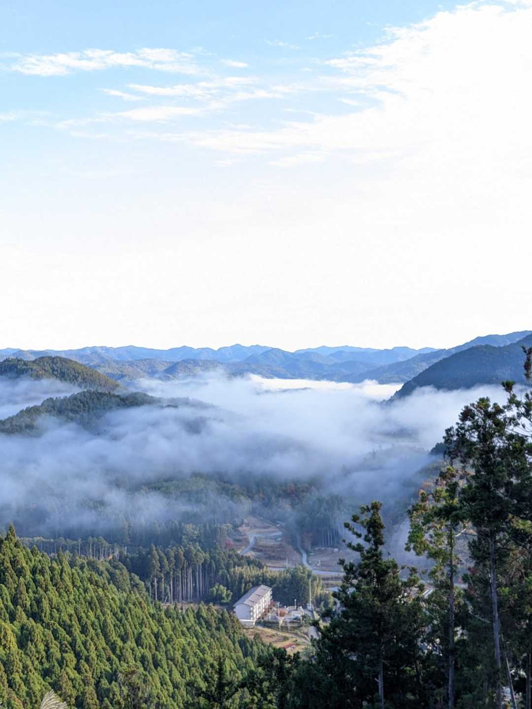 城山 往復コースの写真