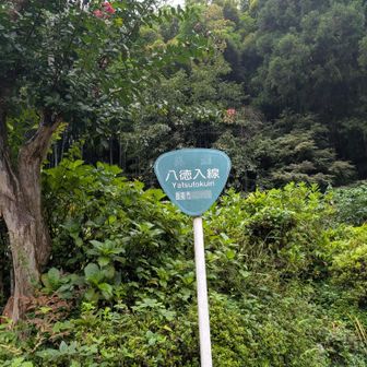 八徳(やつとく)と読むようです
(ただし現地の人は「やっとく」、登山業界では「やっとこ」と読むらしい
元はすべて「やっとこ」だったものの派生)