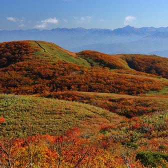 白木峰から振り返って見る北白木峰。こんなに紅葉してはいなかったのですが、朝日のためかだいぶ赤っぽい写真写りになりました。
