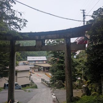 ひいひい膝が悲鳴を上げながら滝本駅に到着。どうせなら御嶽駅まで歩こう。